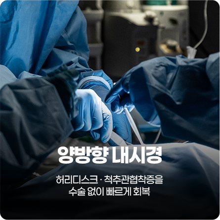 양방향 내시경